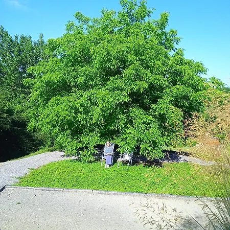 Au Coin De Detente - Sauna - Bubbelbad 펜션 *